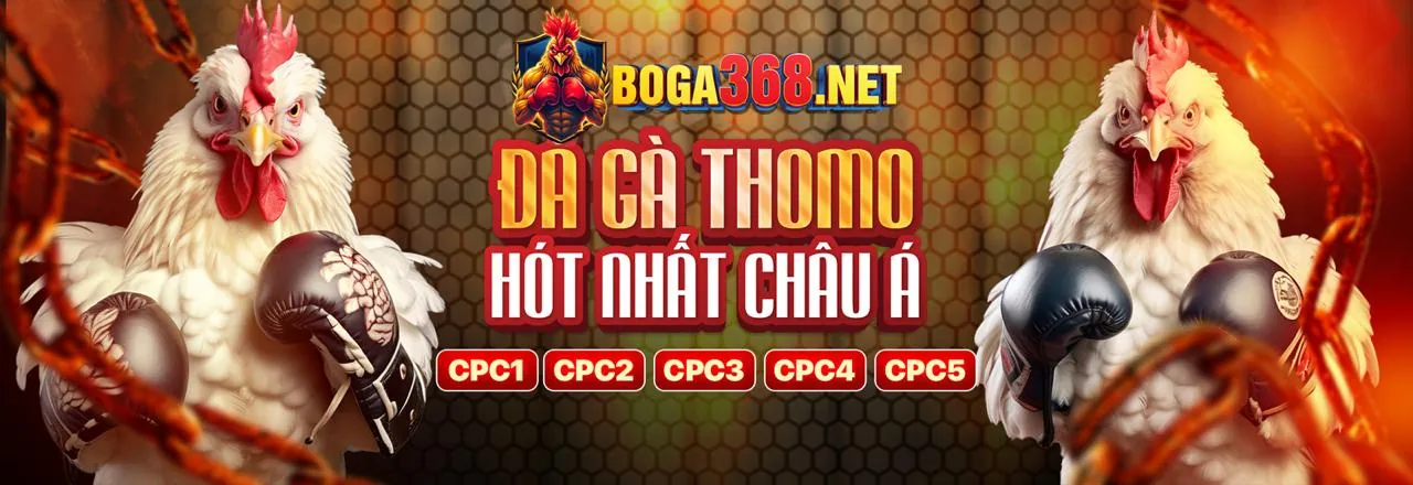 Hình ảnh đại diện cho Điều Khoản Dịch Vụ của game789 link mới